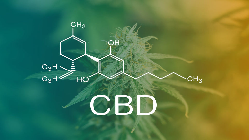 What is CBD?