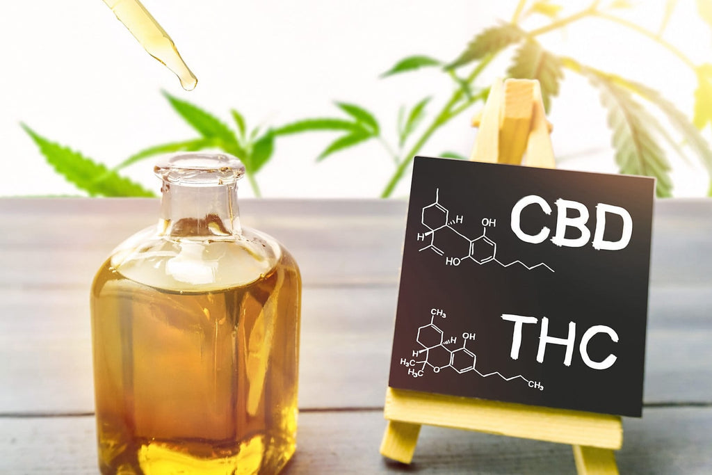 CBD vs. THC: What's The Difference?