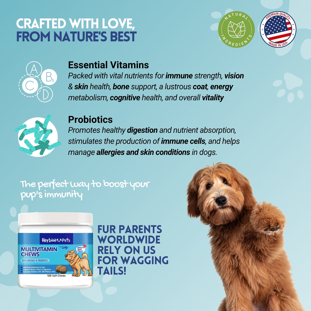 Herbion Naturals | Pets Multivitamin Chews with Minerals & Probiotics - 120 Soft Chews