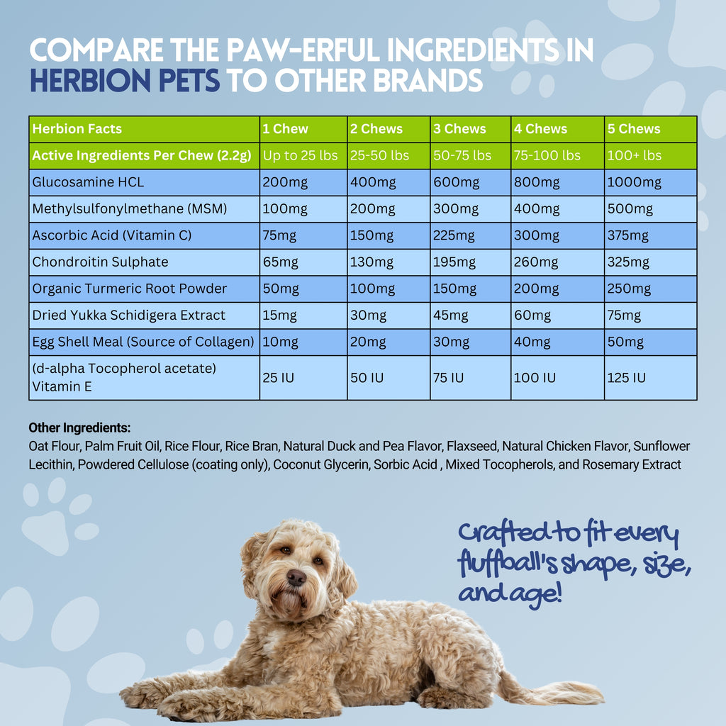 Herbion Naturals | Pets Joint Care Chews with Glucosamine & Turmeric - 120 Soft Chews