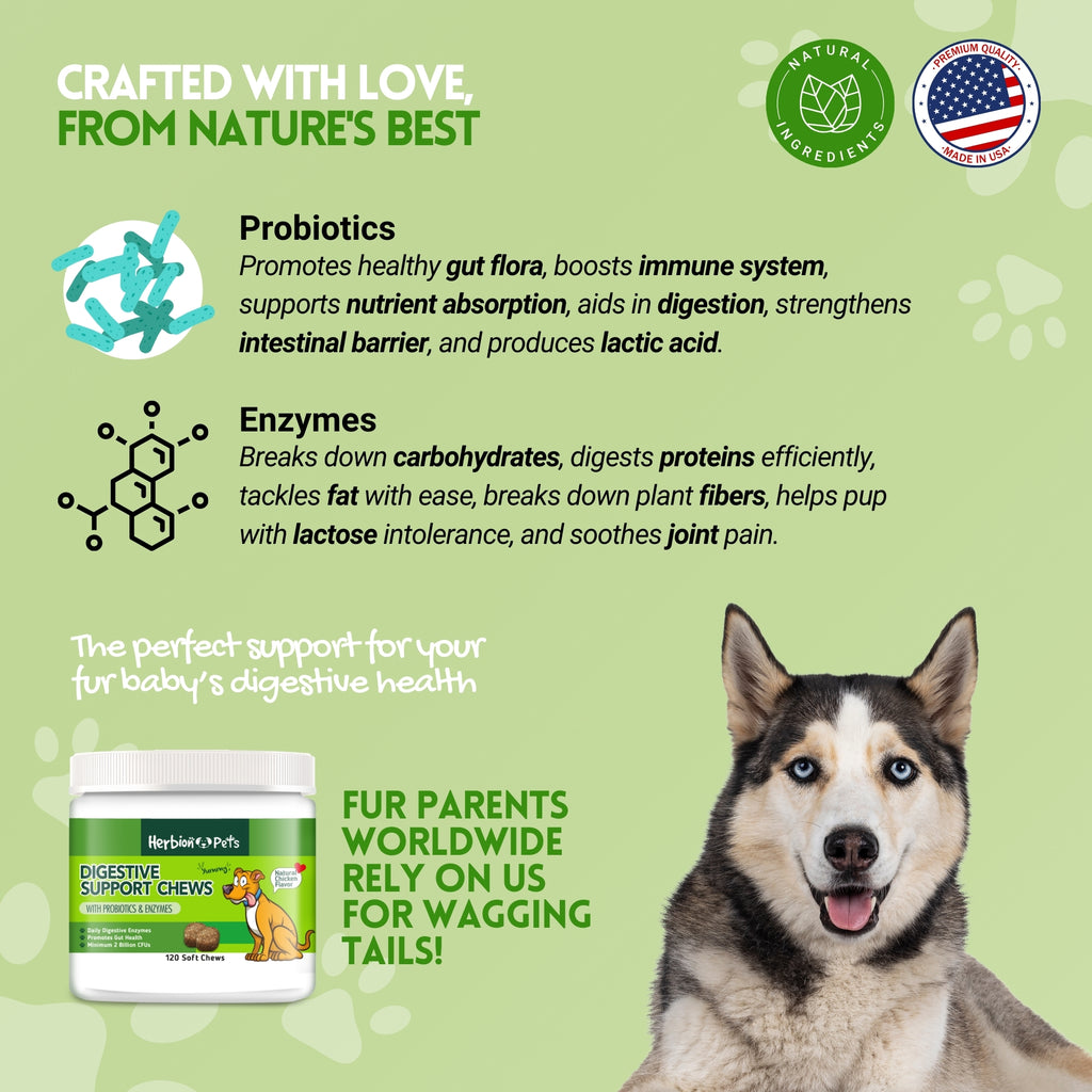 Herbion Naturals | Pets Digestive Support Chews with Probiotics & Enzymes - 120 Soft Chews
