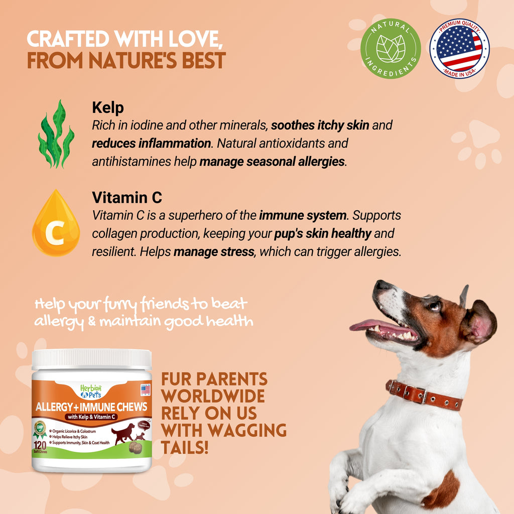 Herbion Naturals | Pets Allergy + Immune Chews with Kelp & Vitamin C - 120 Soft Chews
