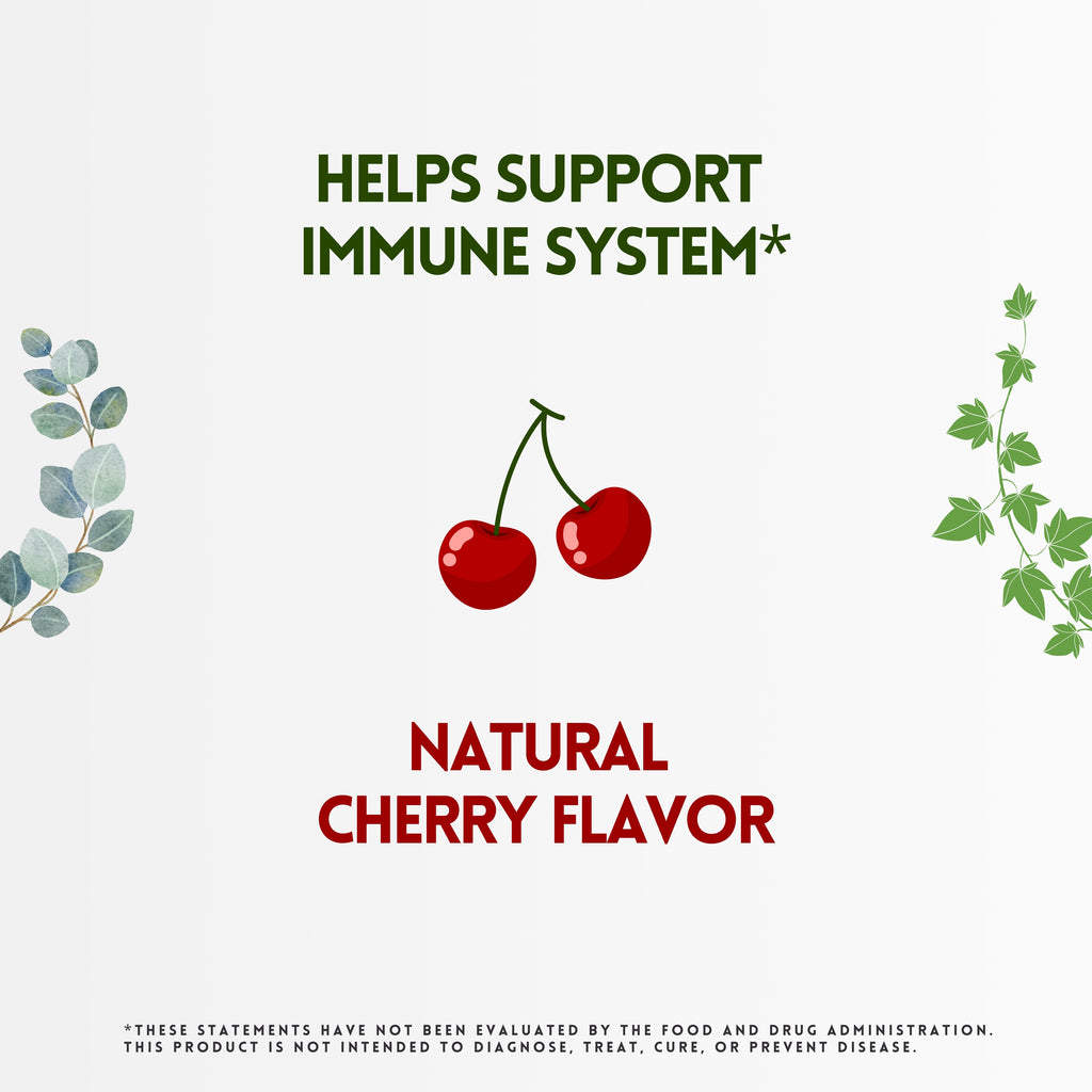 Herbion Naturals | Zinc, Echinacea & Vitamin C Lozenges with Natural Cherry Flavor - 25 CT