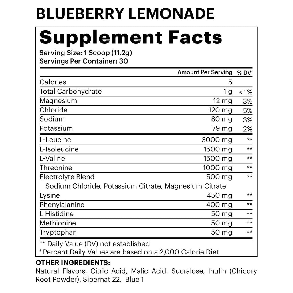 DMoose | Essential Amino Acids (EAAs) + Hydration Blueberry Lemonade - 30 Scoops