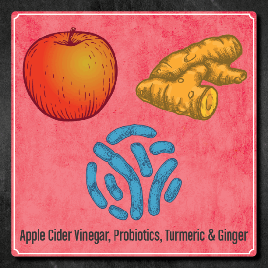 Picture of Apple Cider Vinegar Gummies with Turmeric + Ginger + Probiotics